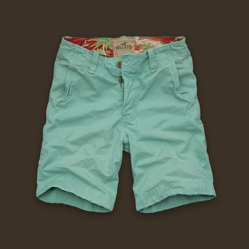 Hollister Hombres Ajuste clásico Vintage Cortos HCO3679